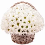 Корзина с цветами Лучи зари