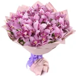 Орхидеи розовые